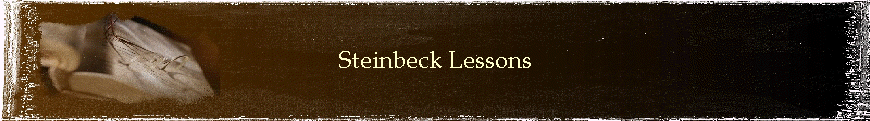 Steinbeck Lessons