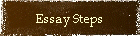 Essay Steps