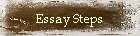 Essay Steps